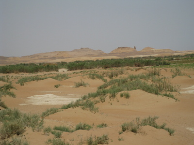 Blowing sands from the desert damaging agricultur lands